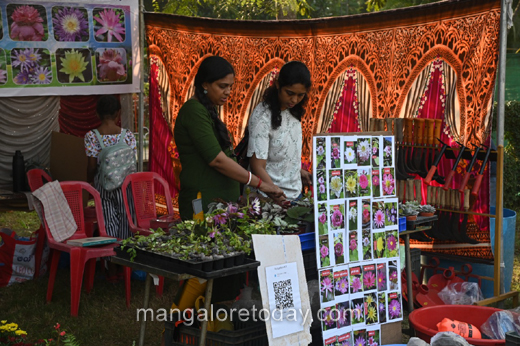 Flower Show